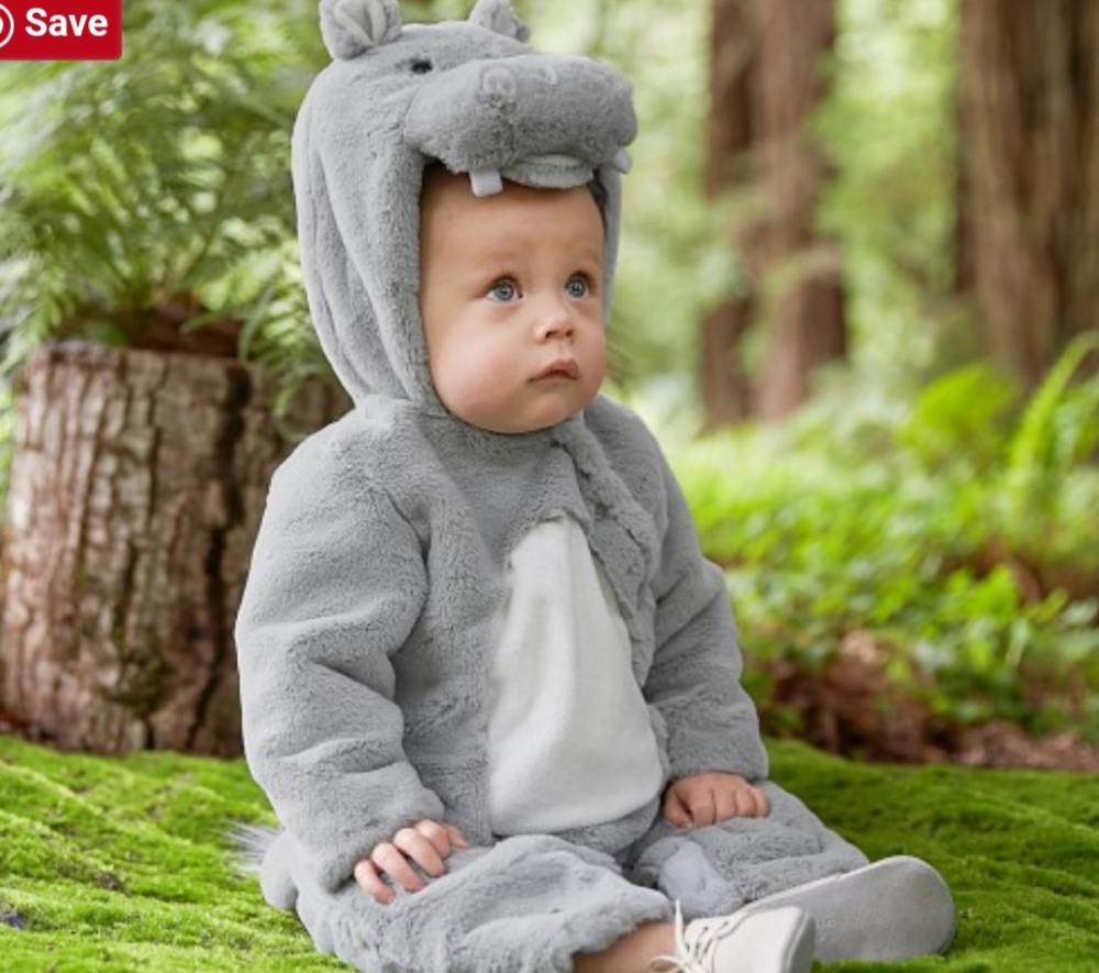 Pottery Barn Kids Baby Costume